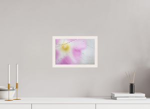 Spider's Treasure, Maine