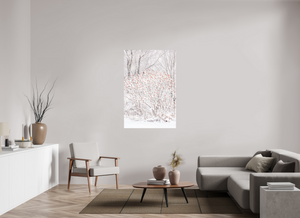 Torches of Winter, Maine