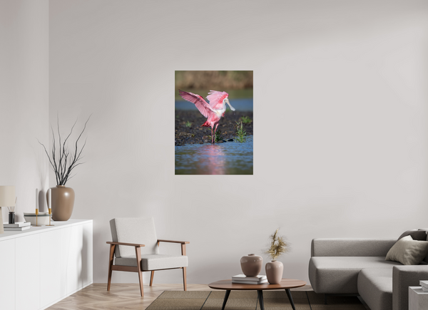 Water Dance, Roseate Spoonbill