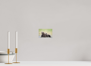 Observation, Alaskan Brown Bear Cubs