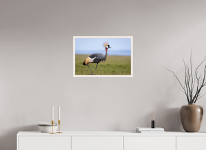 Strictly Formal, Crowned Crane