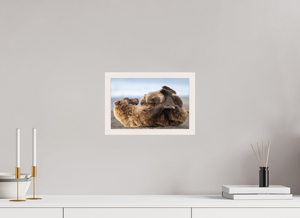 The Nursery Hour, Alaska