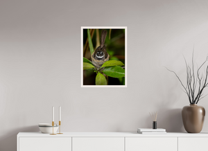 Weathering The Storm, Fantail