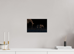 Shadow Guard, Botswana