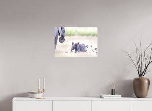 Childhood Fantasy, Elephant