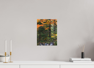 Signs of the Season, Turkey