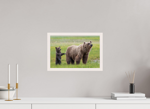 Maternal Instinct, Alaskan Coastal Brown Bear