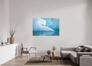 Frozen Eider, Iceland