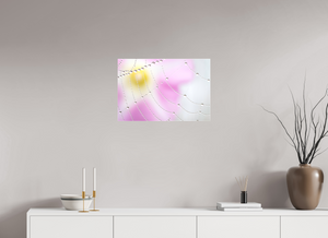 Spider's Treasure, Maine