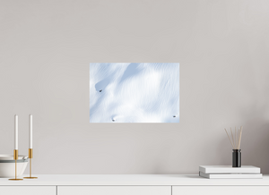 Alpine Icing, New Zealand