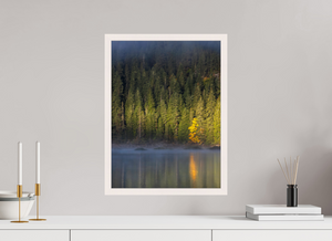 Spotlight, Montenegro