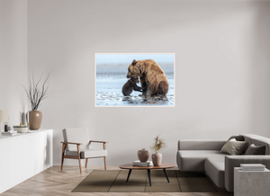 Protection, Alaskan Coastal Brown Bear Cub