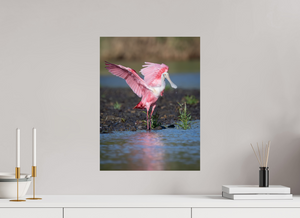 Water Dance, Roseate Spoonbill