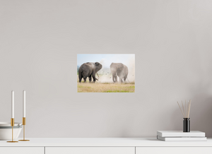 War and Peace, Elephant