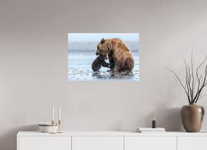 Protection, Alaskan Coastal Brown Bear Cub