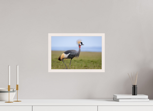 Strictly Formal, Crowned Crane