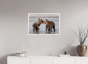 Conflict, Alaskan Coastal Brown Bear Cubs