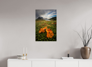 Gems in the Rough, Norway