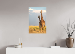 Head in the Clouds, Giraffe