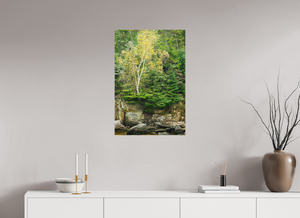 Autumn Confetti, Maine