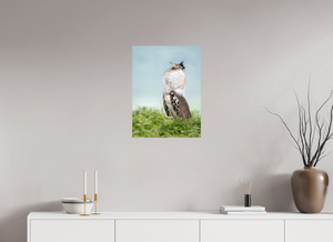 Spring Fancy, Kori Bustard