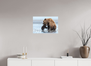 Protection, Alaskan Coastal Brown Bear Cub