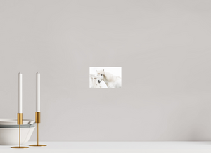 Transparency, Iceland