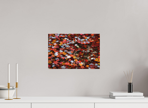 Liquid Inferno, Maine