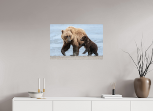 Playful Invitation, Alaskan Coastal Brown Bear