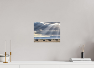 Following Tradition, Elephant