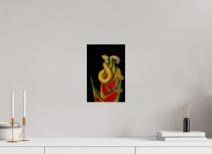 Fatal Attraction Fatal Attraction, Yellow Eyelash Viper