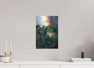 Weathered & Unbeaten, Zimbabwe