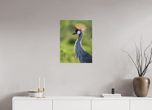 Glamour, Crowned Crane