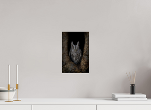 Observation, Pacific Screech Owl