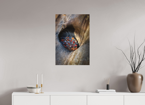 Treasure Chest, Maine