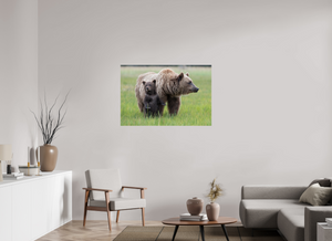 On Alert, Alaskan Coastal Brown Bear