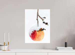 Frozen Delight, Maine