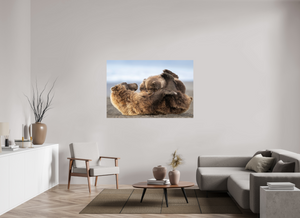 The Nursery Hour, Alaska