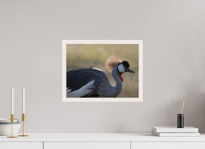 Rouge Details, Crowned Crane