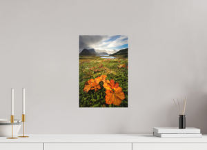 Gems in the Rough, Norway