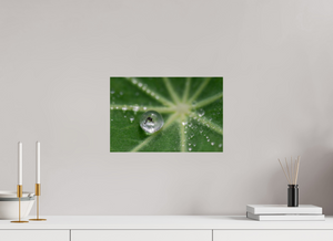 Jurassic Park, Maine