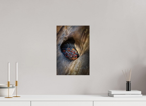 Treasure Chest, Maine