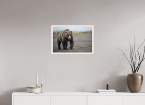 Intimidation, Alaskan Coastal Brown Bear