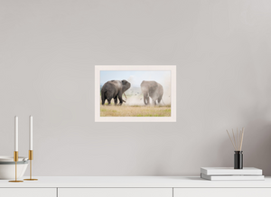 War and Peace, Elephant