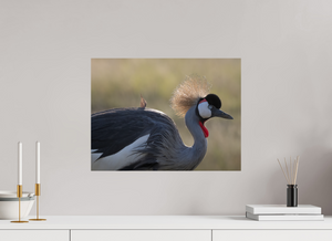Rouge Details, Crowned Crane