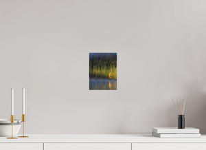 Spotlight, Montenegro