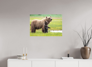 Standing Tall, Alaskan Coastal Brown Bear