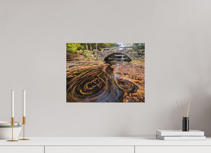 The Circumference of Autumn, Maine