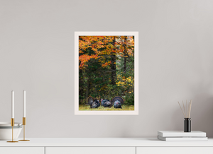 Signs of the Season, Turkey