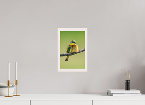 Avian Acrobat, Little Bee Eater